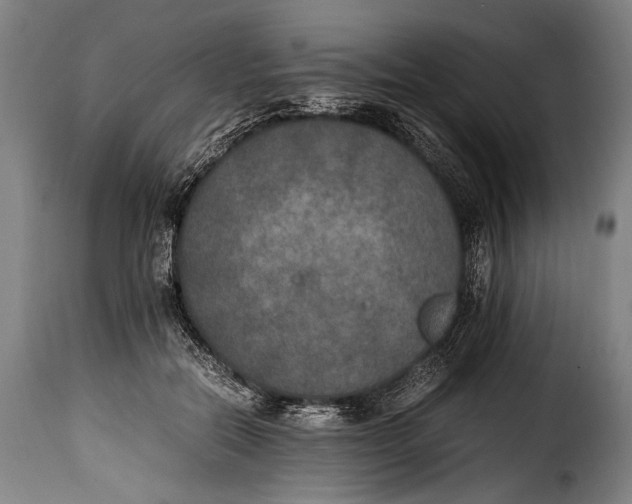 X0000115350554200911241155