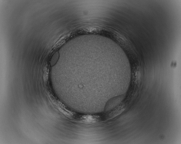 X0000115350558200911241155