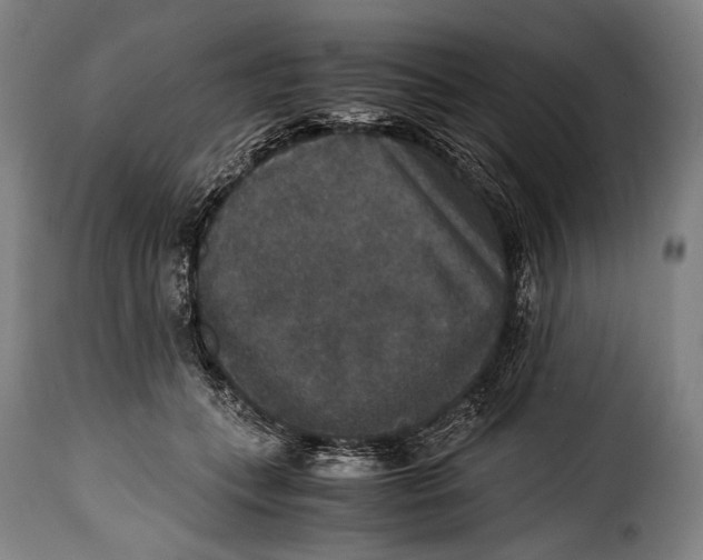 X0000115350559200911241155