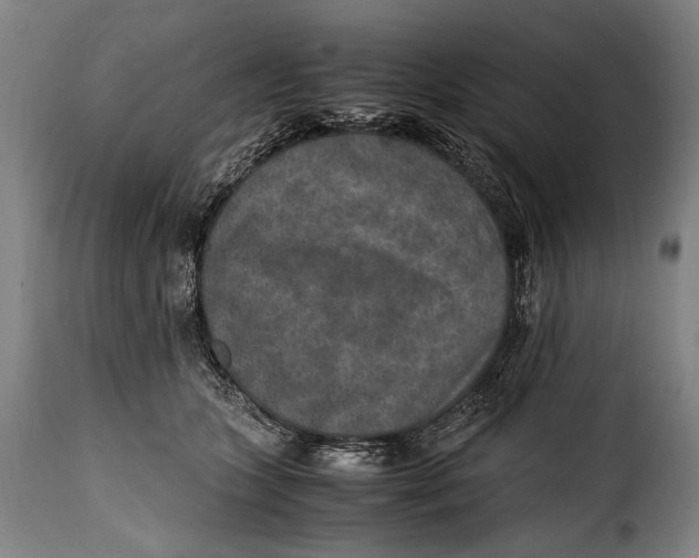 X0000115350563200911241155