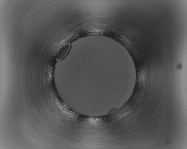 X0000115350570200911241156