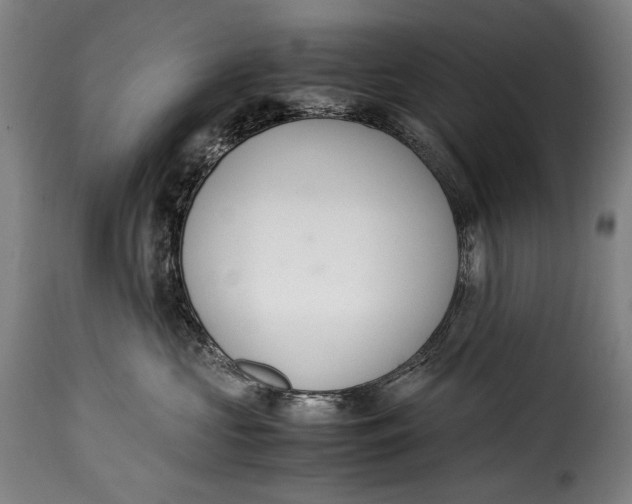 X0000115350573200911241156