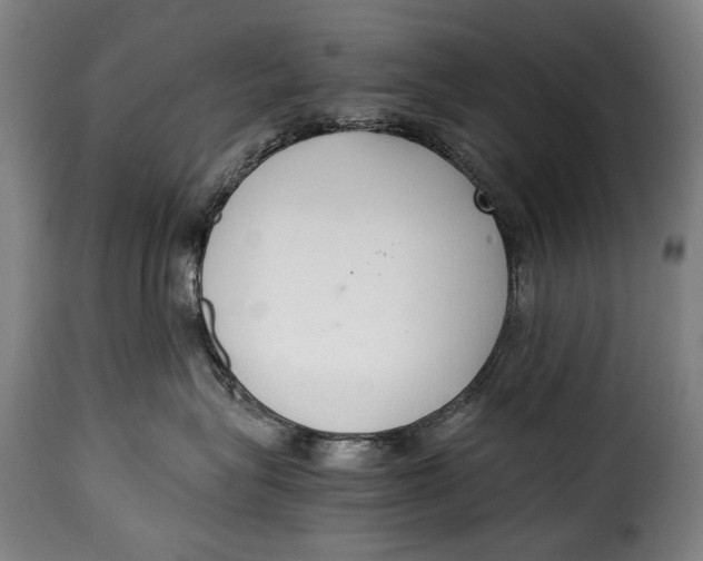 X0000115350575200911241156