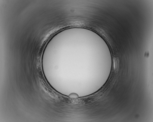 X0000115350579200911241155