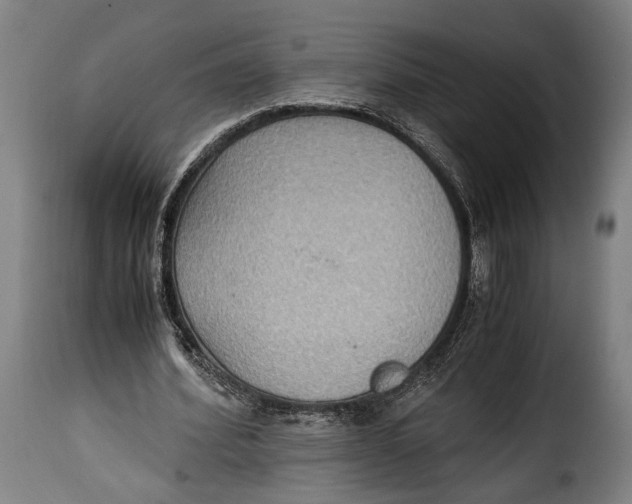 X0000115350580200911241155