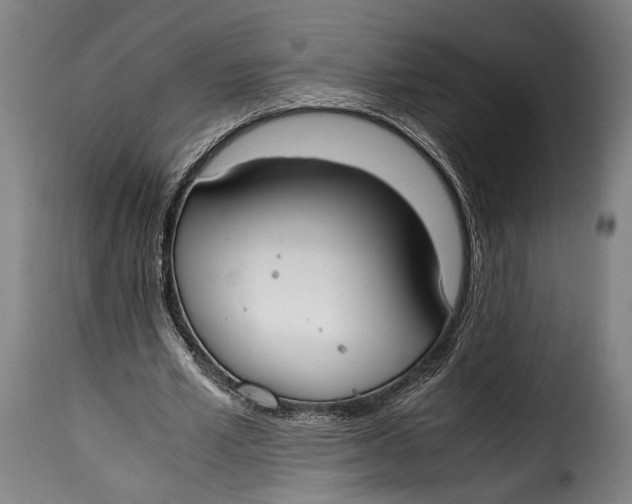 X0000115350581200911241155