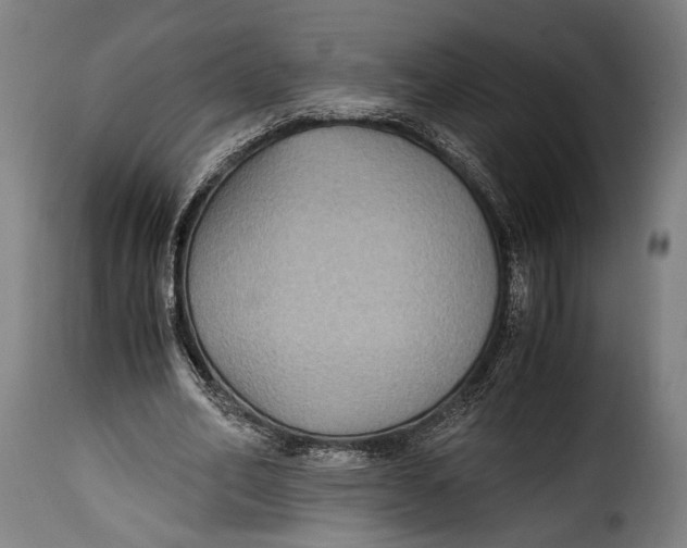X0000115350582200911241155