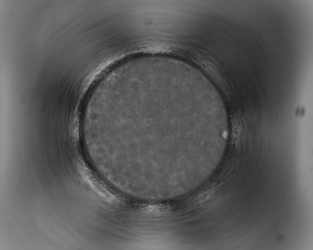 X0000115350584200911241155