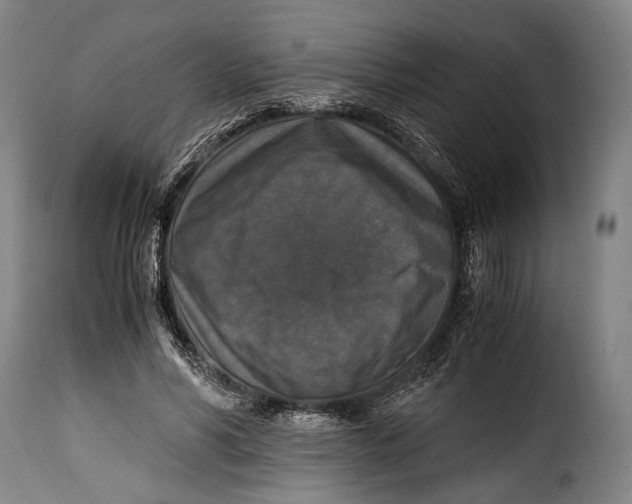 X0000115350590200911241155