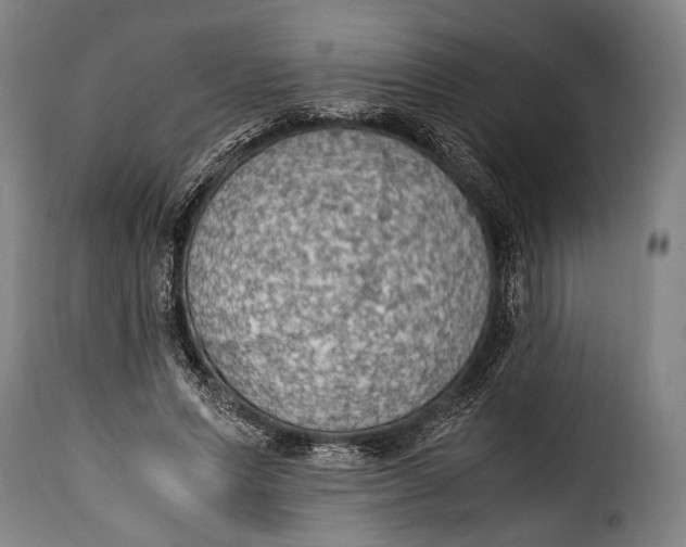 X0000115350591200911241155