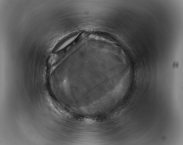 X0000115350592200911241155
