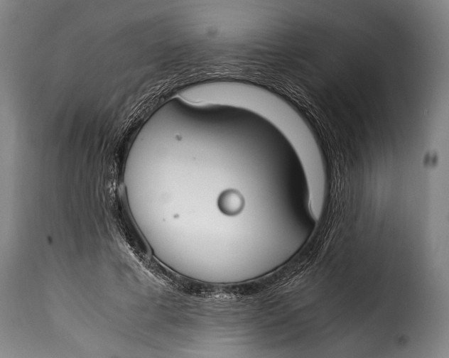 X0000115350593200911241155