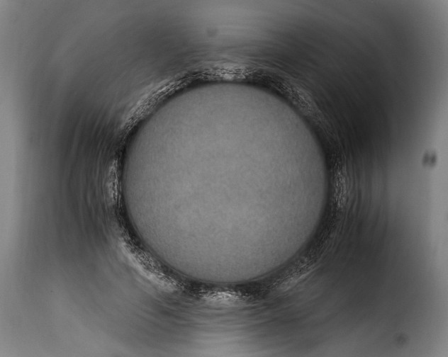 X0000115350594200911241155