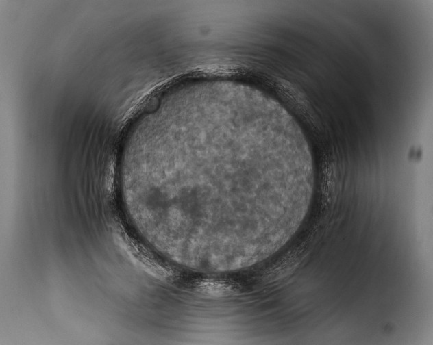 X0000115350596200911241154
