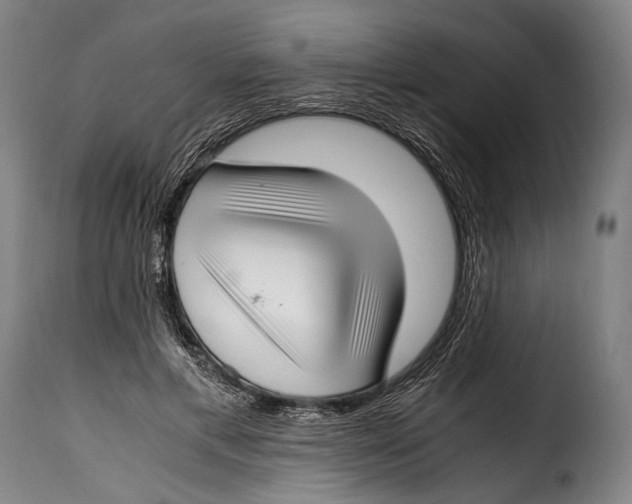 X0000115350597200911241154