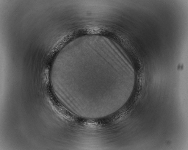 X0000115350598200911241154