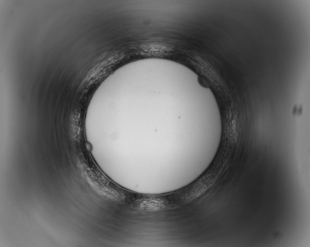 X0000115350599200911241154