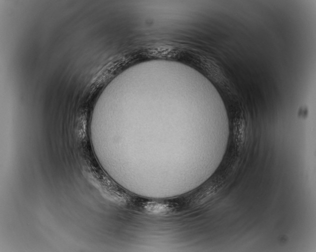 X0000115350602200911241154