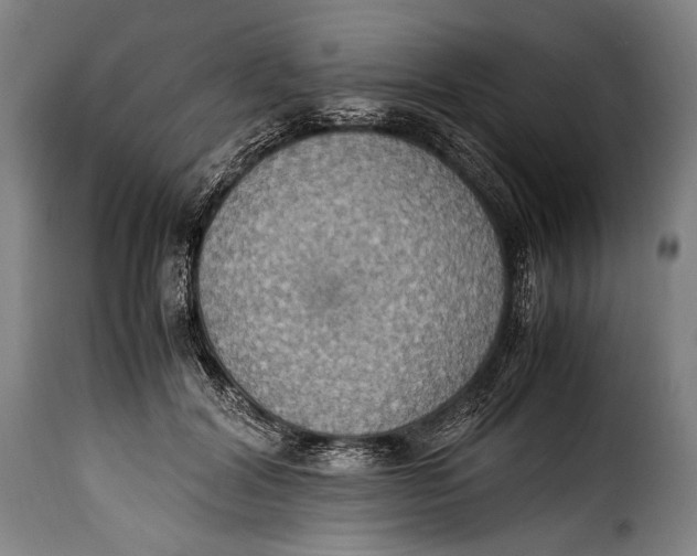 X0000115350604200911241154