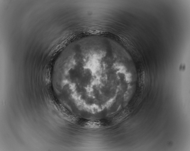 X0000115350606200911241154