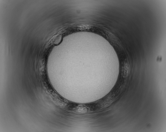 X0000115350608200911241154