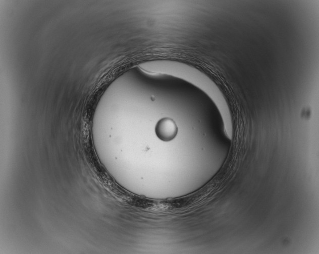X0000115350609200911241154
