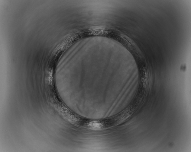 X0000115350610200911241154