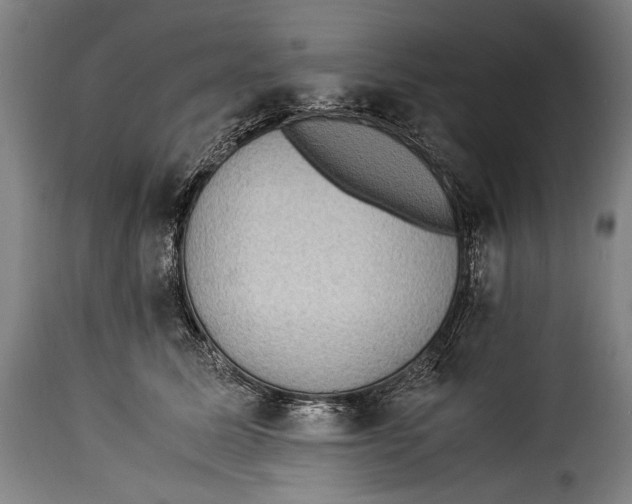 X0000115350611200911241154