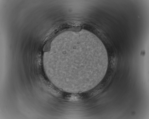 X0000115350612200911241154