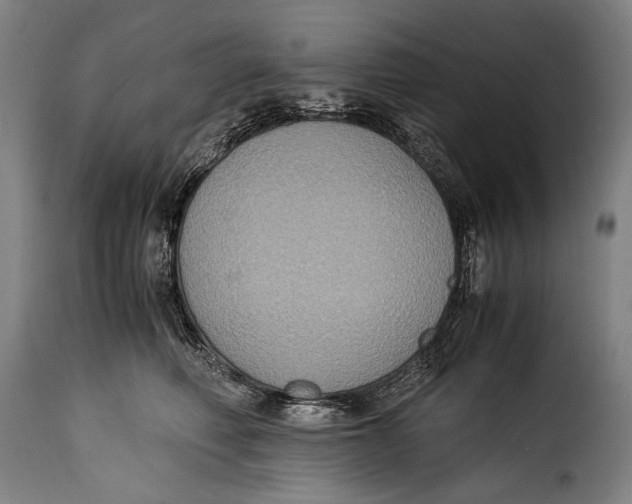 X0000115350614200911241154