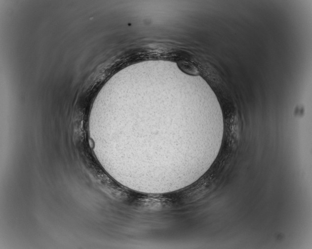 X0000115350615200911241154