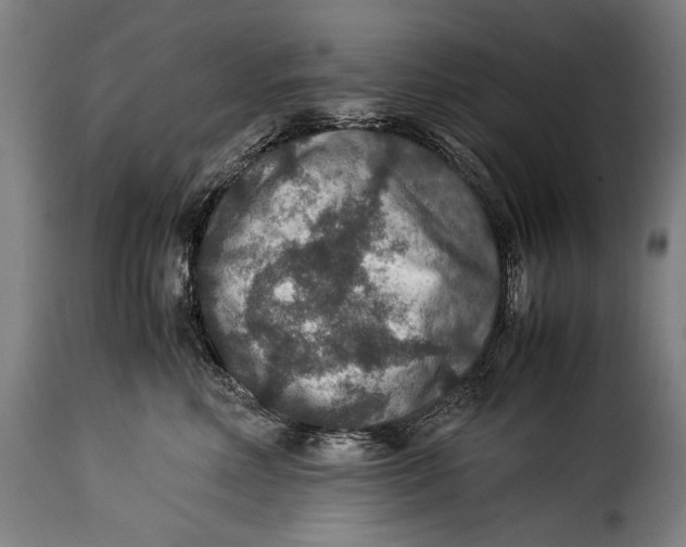 X0000115350618200911241154