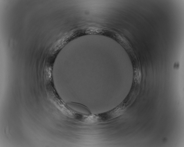 X0000115350621200911241154