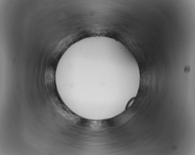X0000115350623200911241154