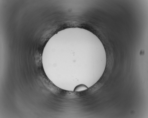 X0000115350624200911241154
