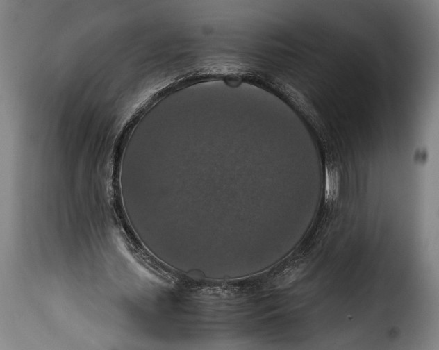 X0000115350627200911241153