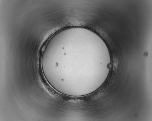 X0000115350630200911241154
