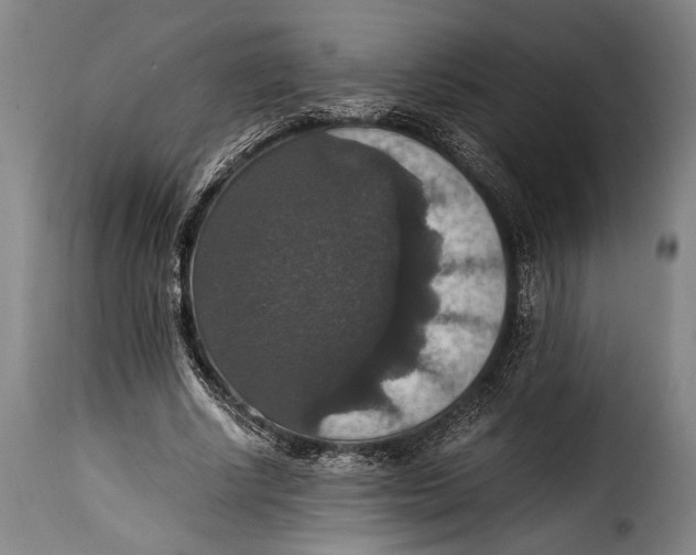 X0000115350634200911241154