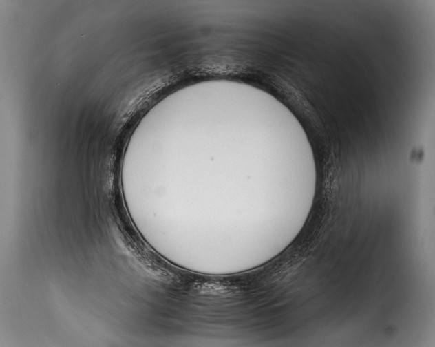 X0000115350635200911241154
