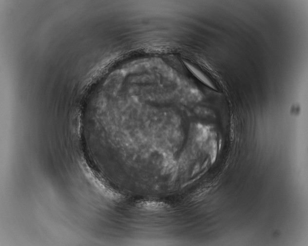 X0000115350637200911241154