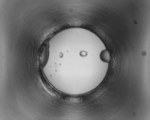 X0000115350638200911241154