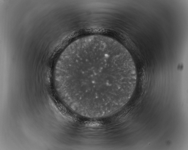 X0000115350643200911241154