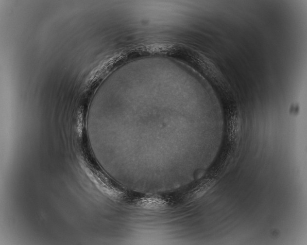 X0000115350644200911241154