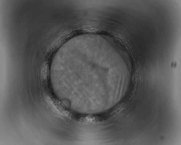 X0000115350647200911241154