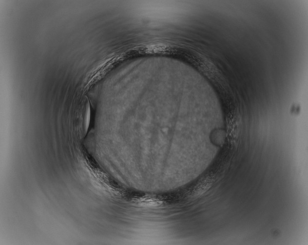 X0000115350648200911241154