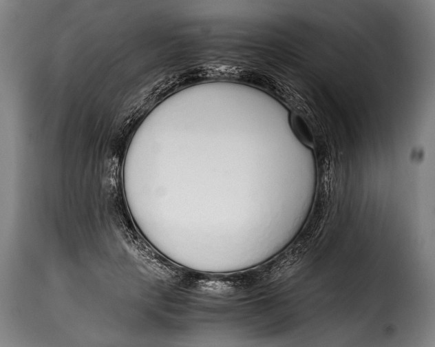 X0000115350649200911241154