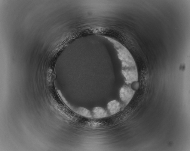 X0000115350650200911241154
