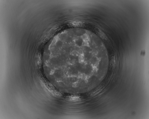 X0000115350651200911241154