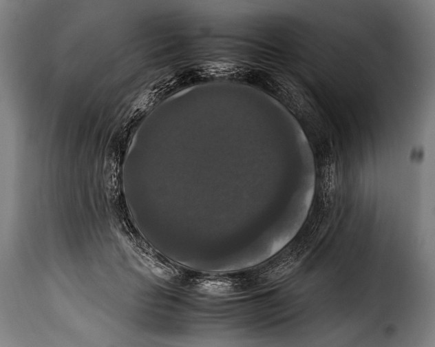 X0000115350653200911241154