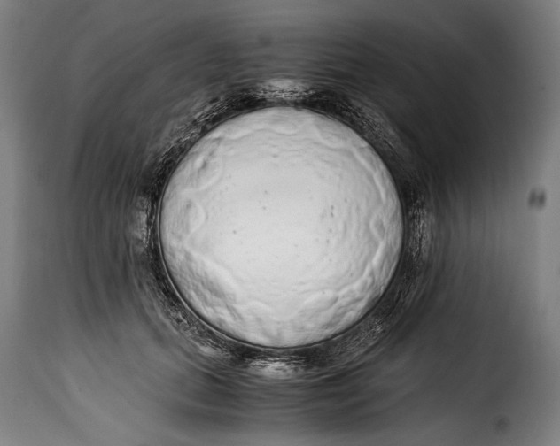 X0000115350655200911241154